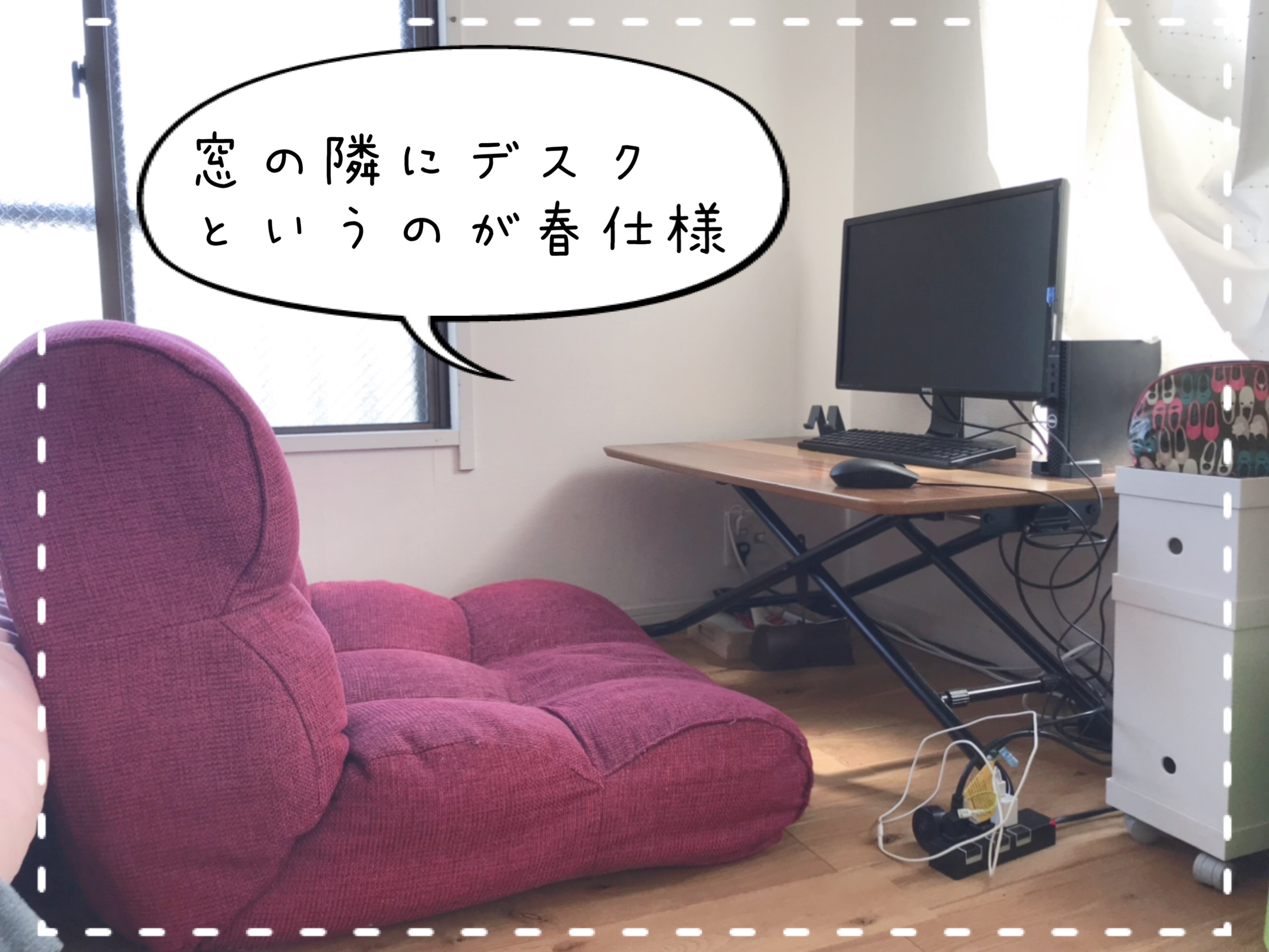 我が家では春になると窓際を生活の拠点にする