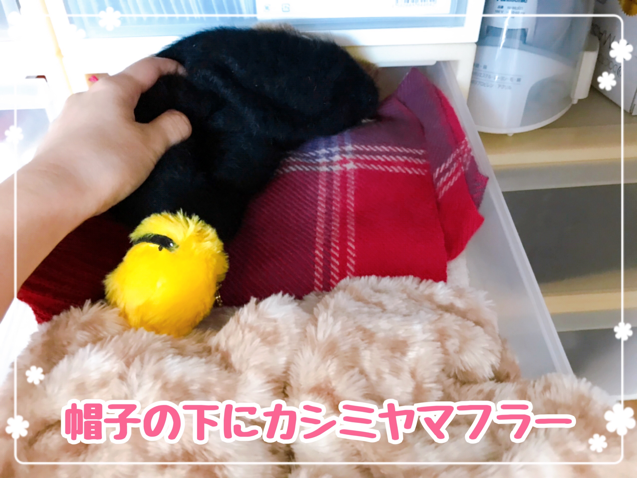 帽子の下にカシミヤマフラー(あまり使わない)